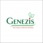 GENEZIS